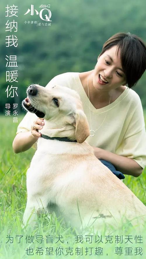 怎么购买新加坡数字货币ky认证资料